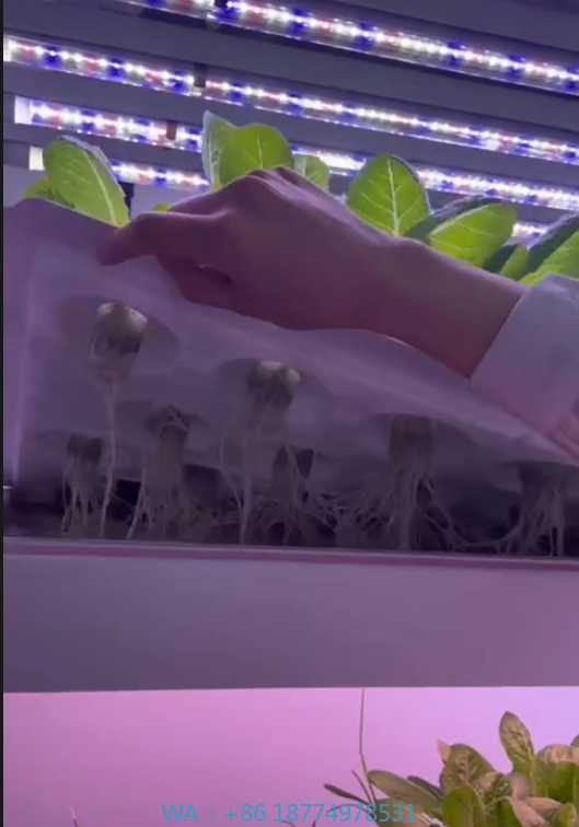 f Greenhouse Agricultural Equi - огляд і ціна Hydroponic Farming Agriculture