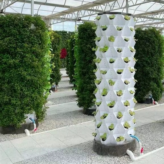 Upgraded Indoor Farming Outdoo - огляд і ціна Hydroponic Farming Agriculture