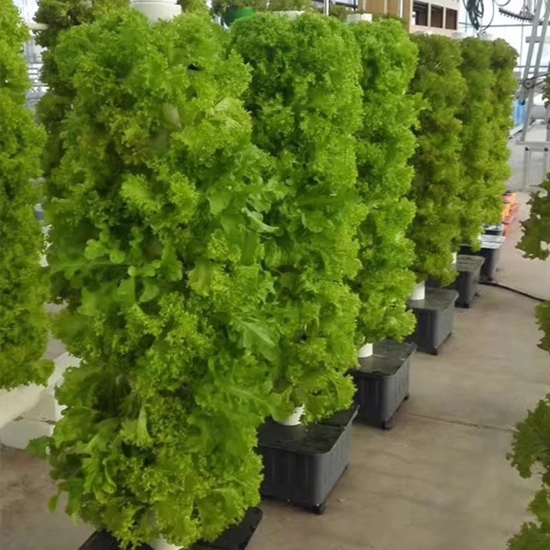 Vertical Hydroponic Growing Sy - огляд і ціна Hydroponic Farming Agriculture